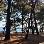 Villa Anita Labinci